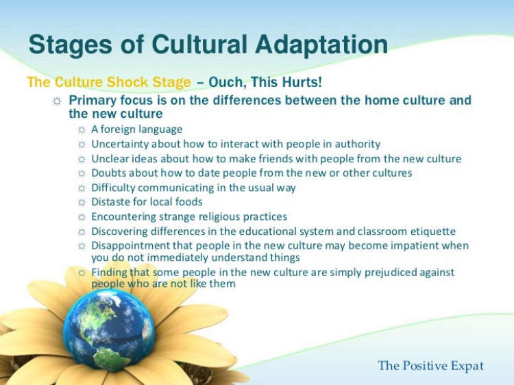 10 Tips for Cultural Adaptation in Germany