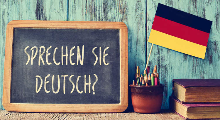 Exploring Online Learning Options in Germany